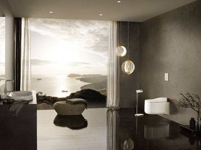 grohe shower toilet