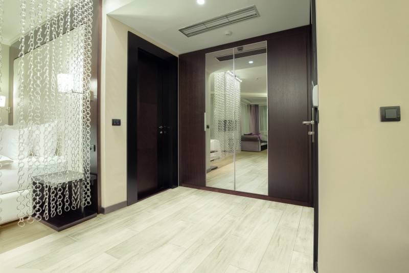 Entrance hall in hotel room