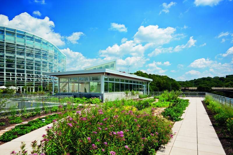 Center_for_Sustainable_Landscapes_Denmarsh_Photography