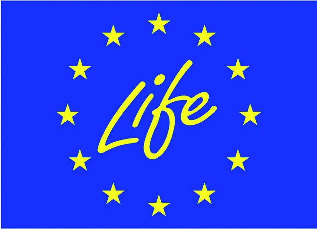 Life_logo ok