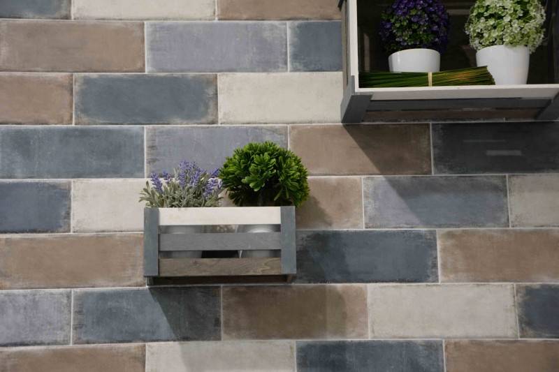 cevica tendencia NORDIC