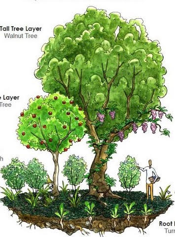 bosque1