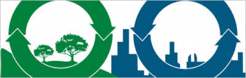 847_economia-circular-anfapa3