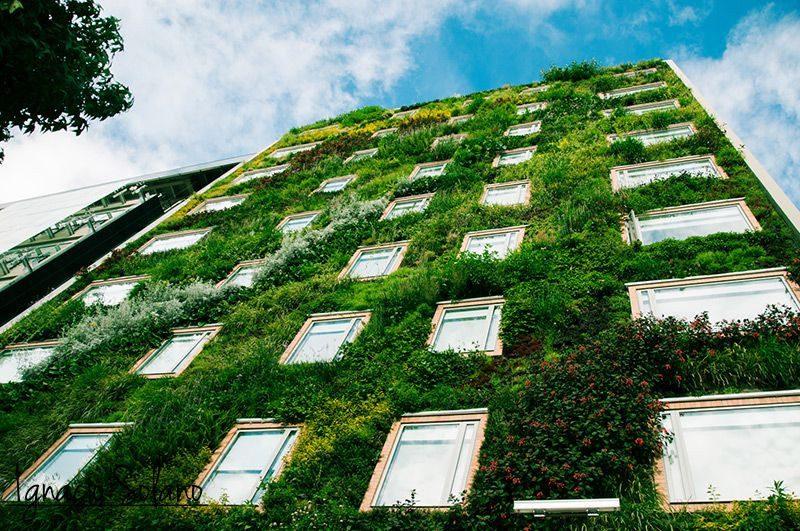 ignacio-solano-jardines-verticales-12